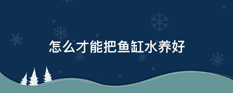 怎么才能把鱼缸水养好 怎样才能把鱼缸水养好