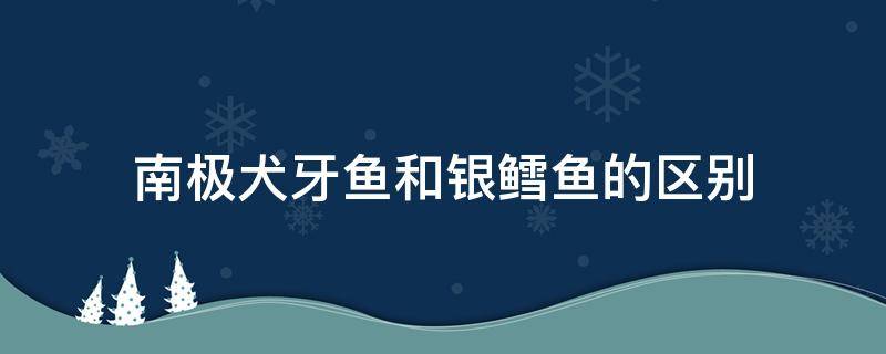 南极犬牙鱼和银鳕鱼的区别 北极银鳕鱼和南极银鳕鱼的区别