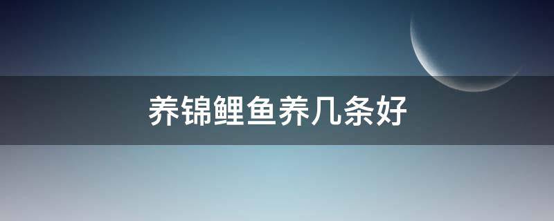 养锦鲤鱼养几条好 公司养锦鲤鱼养几条好