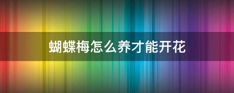 蝴蝶梅怎么养才能开花（蝴蝶梅的养殖方法和注意事项一年开几次花）