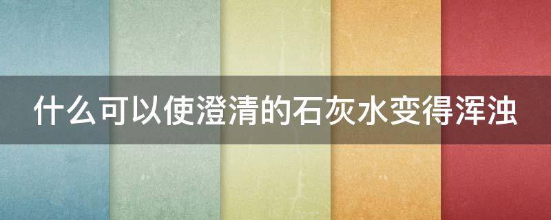 什么可以使澄清的石灰水变得浑浊 什么可以使澄清的石灰水变得浑浊a氢气c二氧化碳d氧气