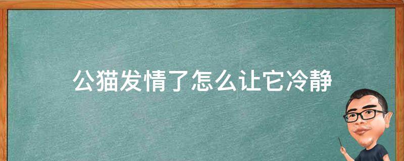 公猫发情了怎么让它冷静 公猫发情了怎么让它冷静一下