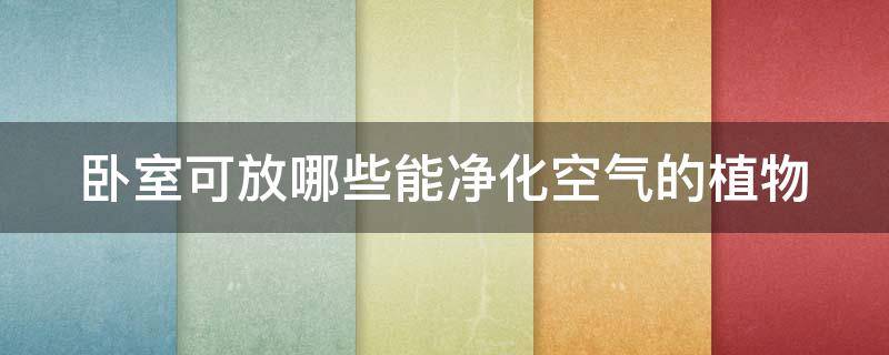 卧室可放哪些能净化空气的植物 卧室可放哪些能净化空气的植物图片