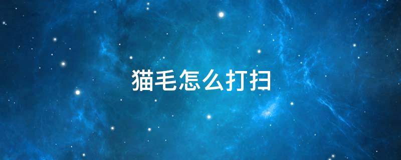 猫毛怎么打扫 猫毛怎么打扫没有吸尘器