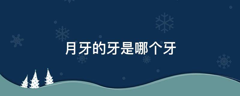 月牙的牙是哪个牙（月牙是这个牙吗）