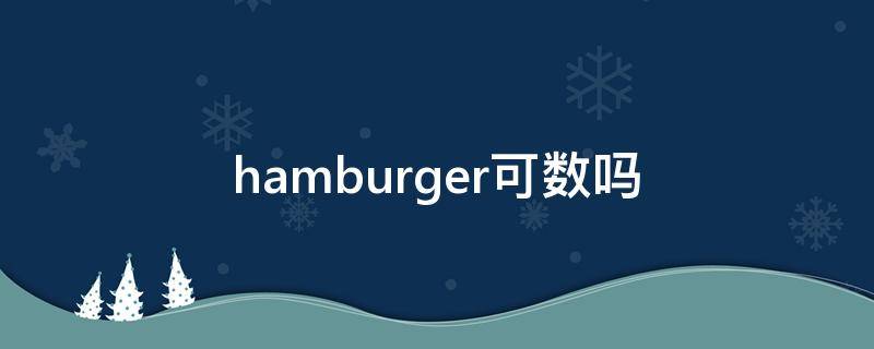 hamburger可数吗（hamburger可数吗可以用They）