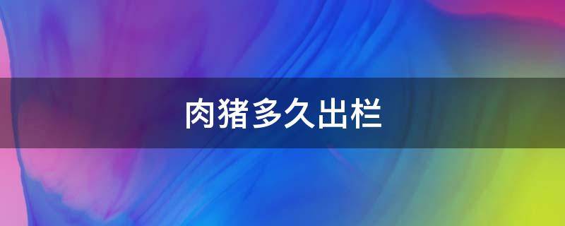肉猪多久出栏 肉猪养几个月出栏