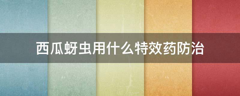 西瓜蚜虫用什么特效药防治 西瓜上面的蚜虫怎么治效果最好