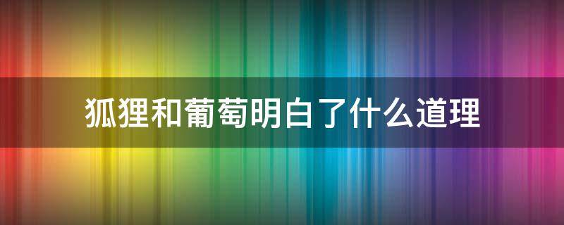 狐狸和葡萄明白了什么道理（狐狸和葡萄明白了什么道理50字）