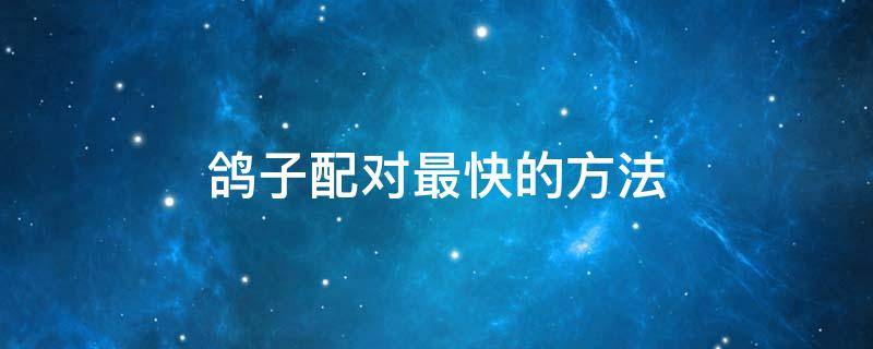 鸽子配对最快的方法 给鸽子配对最快的方法