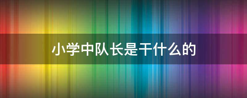 小学中队长是干什么的（二年级小学中队长是干什么的）