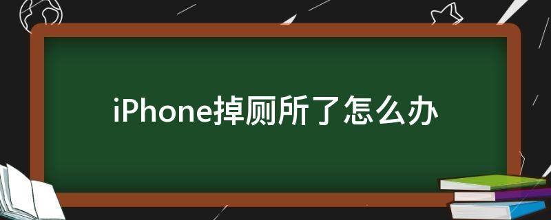 iPhone掉厕所了怎么办（iphone手机掉厕所里怎么处理）