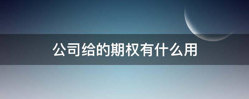 公司给的期权有什么用（公司期权有啥用）