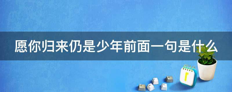 愿你归来仍是少年前面一句是什么 愿你历尽千帆归来仍是少年全诗