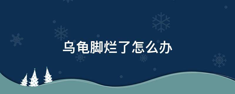 乌龟脚烂了怎么办（乌龟的脚烂了怎么办）