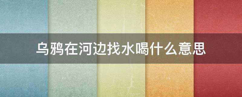 乌鸦在河边找水喝什么意思（有一只乌鸦在河边找水喝什么意思代表情感什么意思）