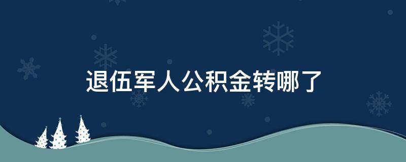 退伍军人公积金转哪了（退伍士兵公积金怎么转到地方）