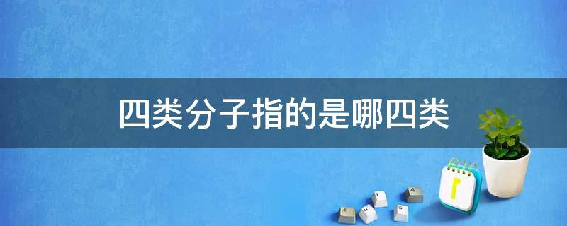 四类分子指的是哪四类 四类分子是指什么