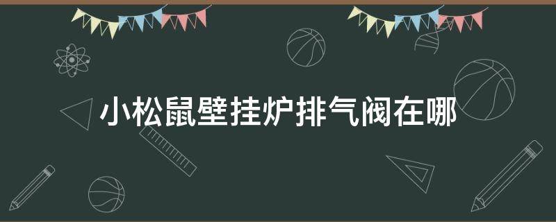 小松鼠壁挂炉排气阀在哪 小松鼠壁挂炉排气阀在哪里