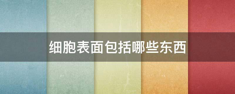 细胞表面包括哪些东西 细胞表面的概念