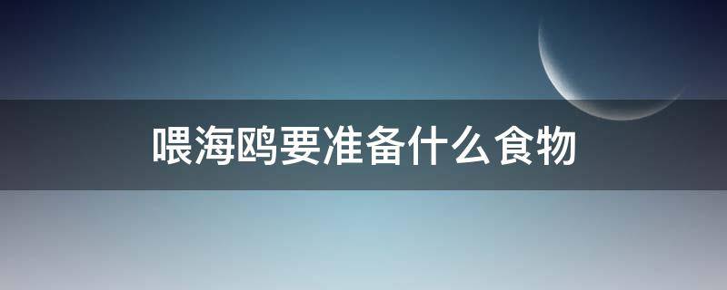 喂海鸥要准备什么食物（喂海鸥用什么食物）