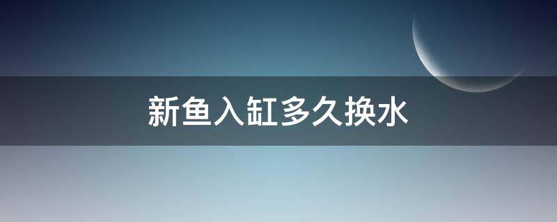 新鱼入缸多久换水（新鱼入缸后多久换水）