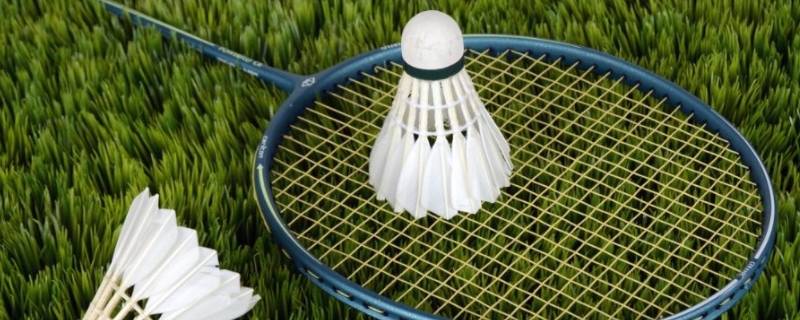 郴州市打羽毛球的组织(郴州市羽毛球协会)