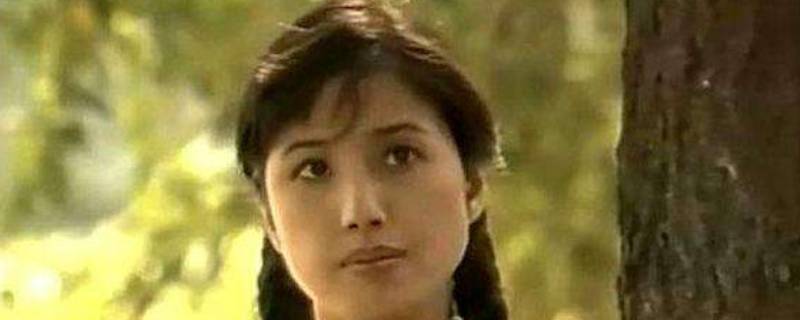 娱乐圈枣花是谁 扒圈娱记枣花是谁