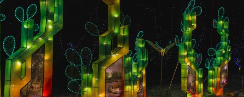 长春南湖公园冰雪乐园在几号门 长春南湖公园冰雪大世界