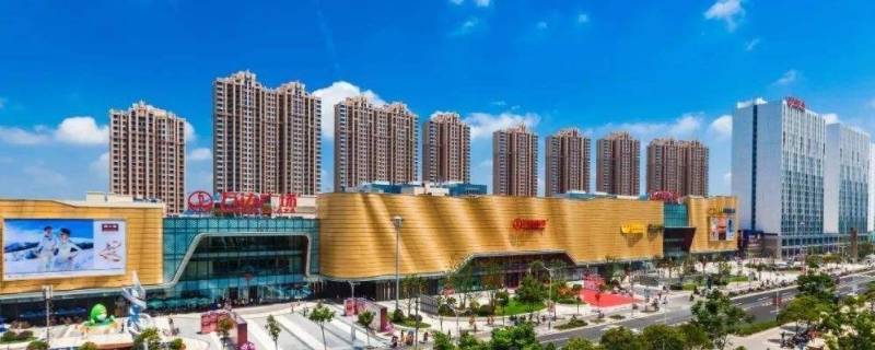 2022年金山中考一模人数 2021年金山区一模考