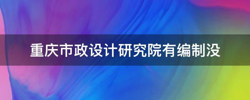 重庆市政设计研究院有编制没（重庆市政研究设计院的属性）