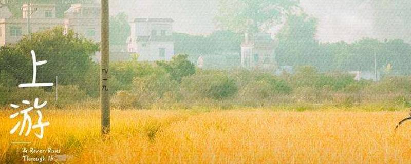 上游小橘第几集和十一在一起 上游夏小橘第几集和十一在一起