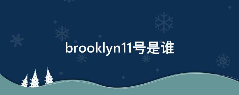 brooklyn11号是谁（brooklyn13号）