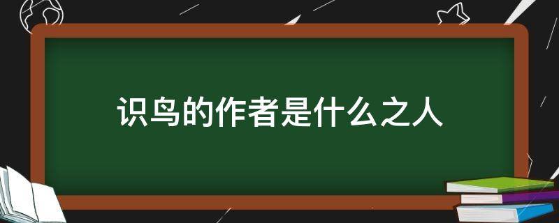 识鸟的作者是什么之人（识鸟的作者是谁）