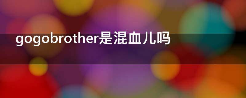 gogobrother是混血儿吗 gogobrothers是双胞胎