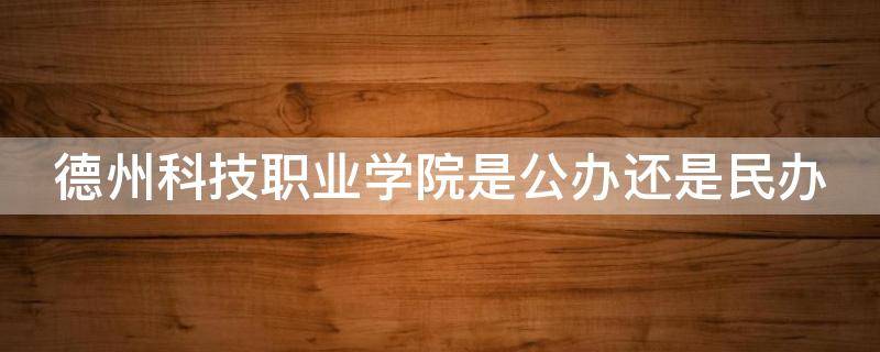 德州科技职业学院是公办还是民办（德州科技职业学院是公办还是民办学校）