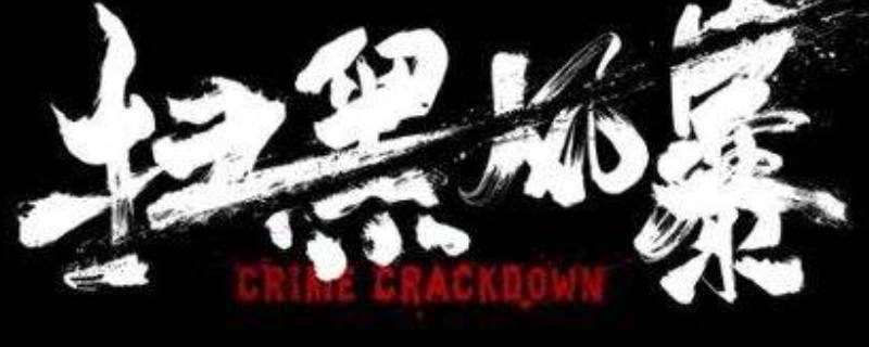 扫黑风暴李丽娟手机上打的什么字 扫黑风暴李丽娟的资料