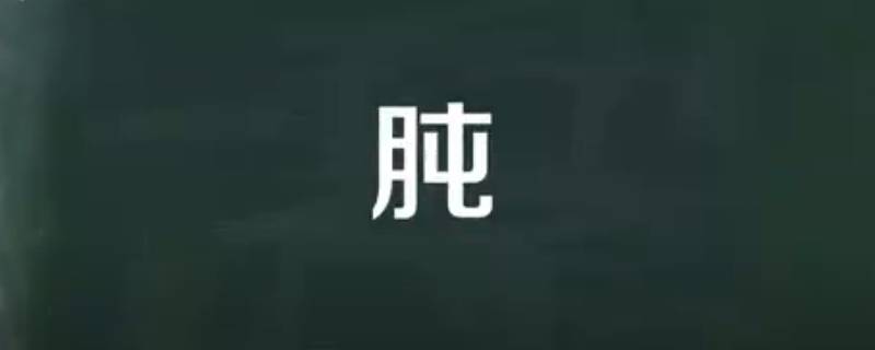 肫是什么意思 舍命吃河肫是什么意思