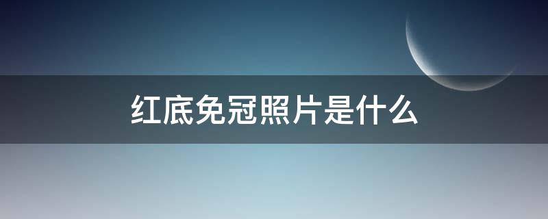 红底免冠照片是什么 1寸红底免冠照片是什么