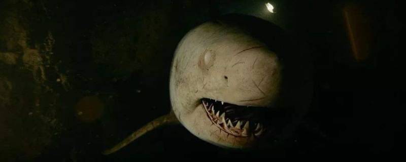 纳威鲨鱼是什么电影（鲨鱼王纳威是什么电影）