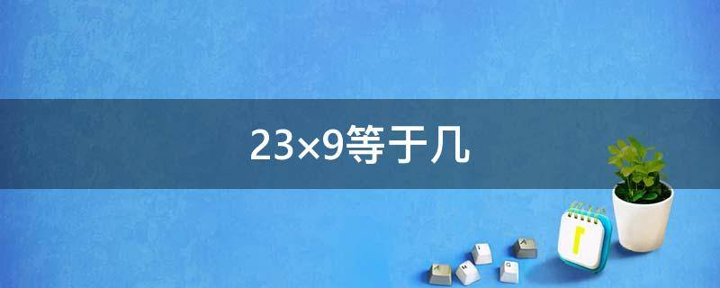 23×9等于几