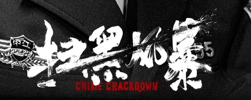 扫黑风暴林浩最后和谁在一起（扫黑风暴 林浩和谁在一起了）