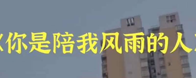 陪你走过风雨的人原唱（陪你走过风雨的人原唱完整版?）