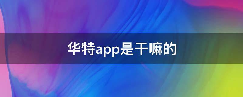 华特app是干嘛的 华特APP下载骗局