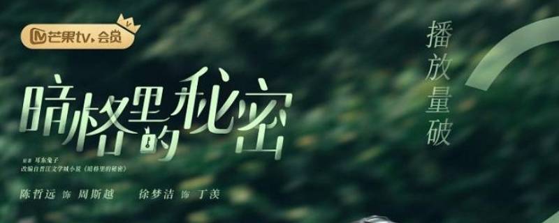 丁羡复读了吗（暗格里的秘密丁羡复读了吗）