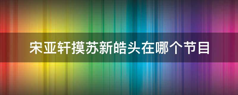 宋亚轩摸苏新皓头在哪个节目 宋亚轩摸苏新浩的头