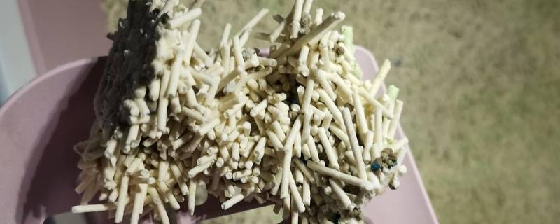 活性炭猫砂的优缺点(活性炭猫砂好还是豆腐猫砂)