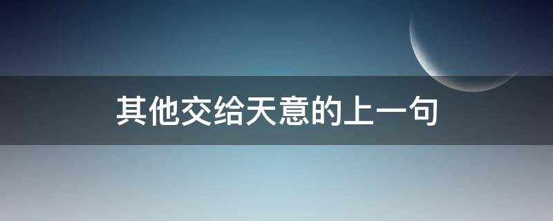 其他交给天意的上一句（其他的交给天意什么意思）