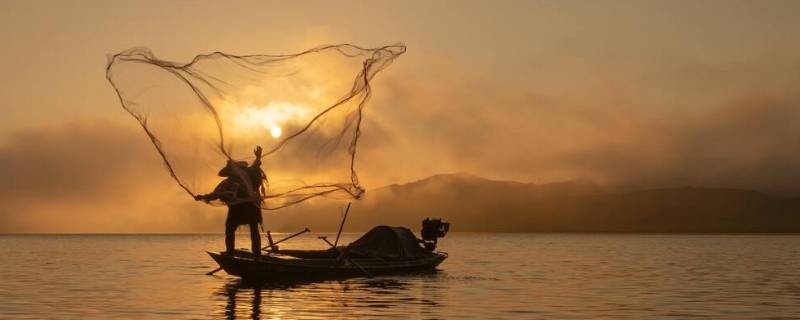 大力马撒网能用几年 大力马撒网能用多久