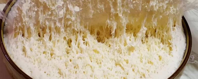 夏天能晚上发面早上用吗（晚上发面早晨能用吗）